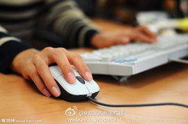 超長(zhǎng)時(shí)間用電腦如自殺 計(jì)算機(jī)圖文設(shè)計(jì)者的健康警鐘